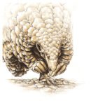 A Step in the Right Direction