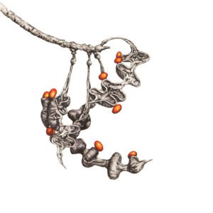 Seeds of change 3 Coral Tree Seeds